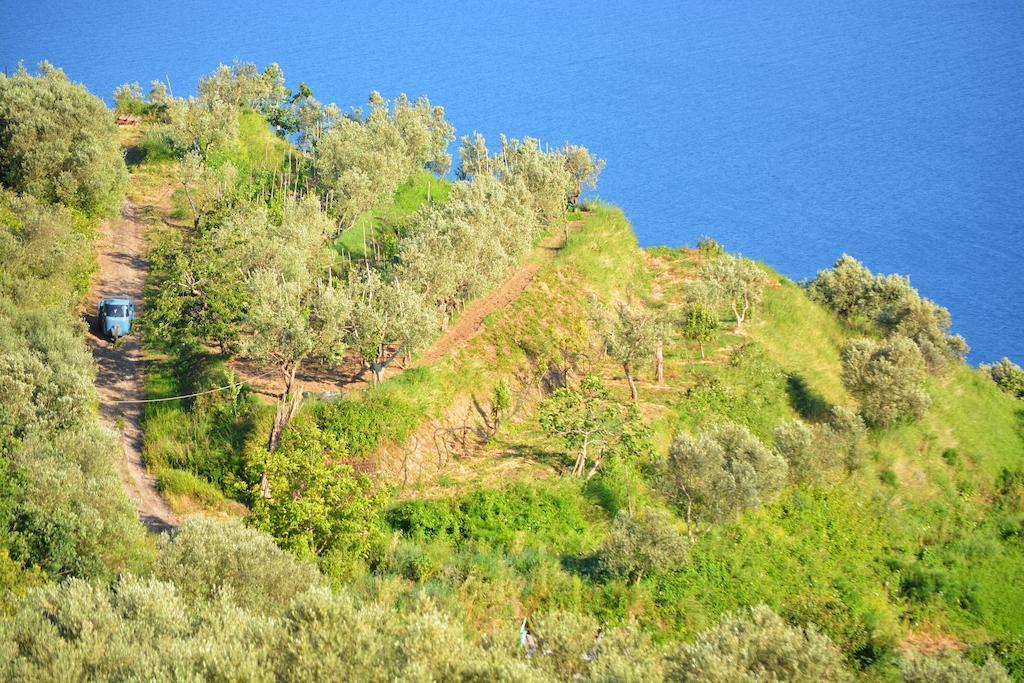 Neranya Appartement Massa Lubrense Buitenkant foto