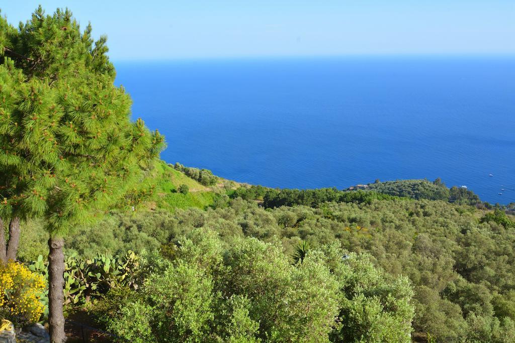 Neranya Appartement Massa Lubrense Buitenkant foto