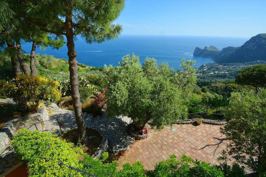 Neranya Appartement Massa Lubrense Buitenkant foto